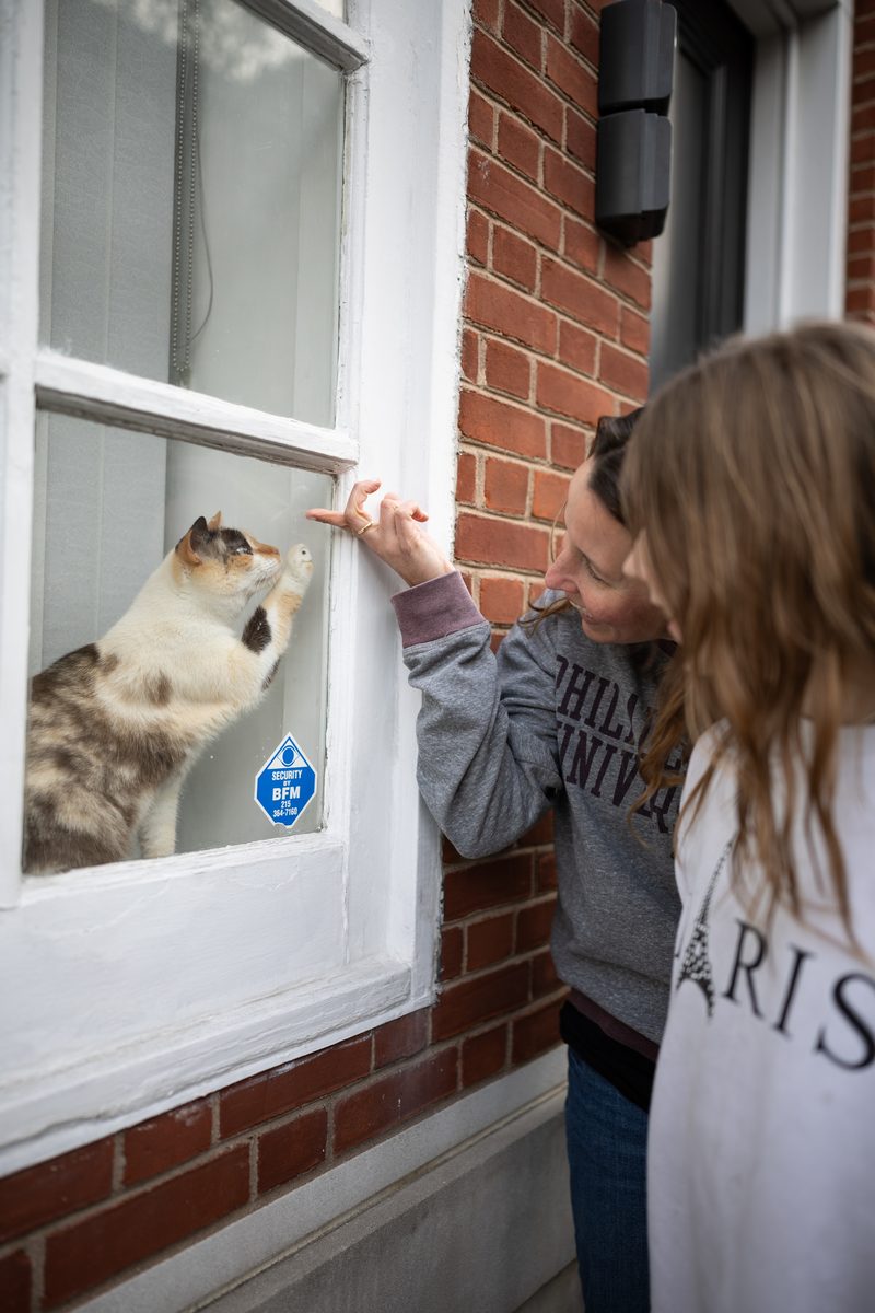 A woman taps on a window as a calico cat reaches up to her paw against the glass from inside.