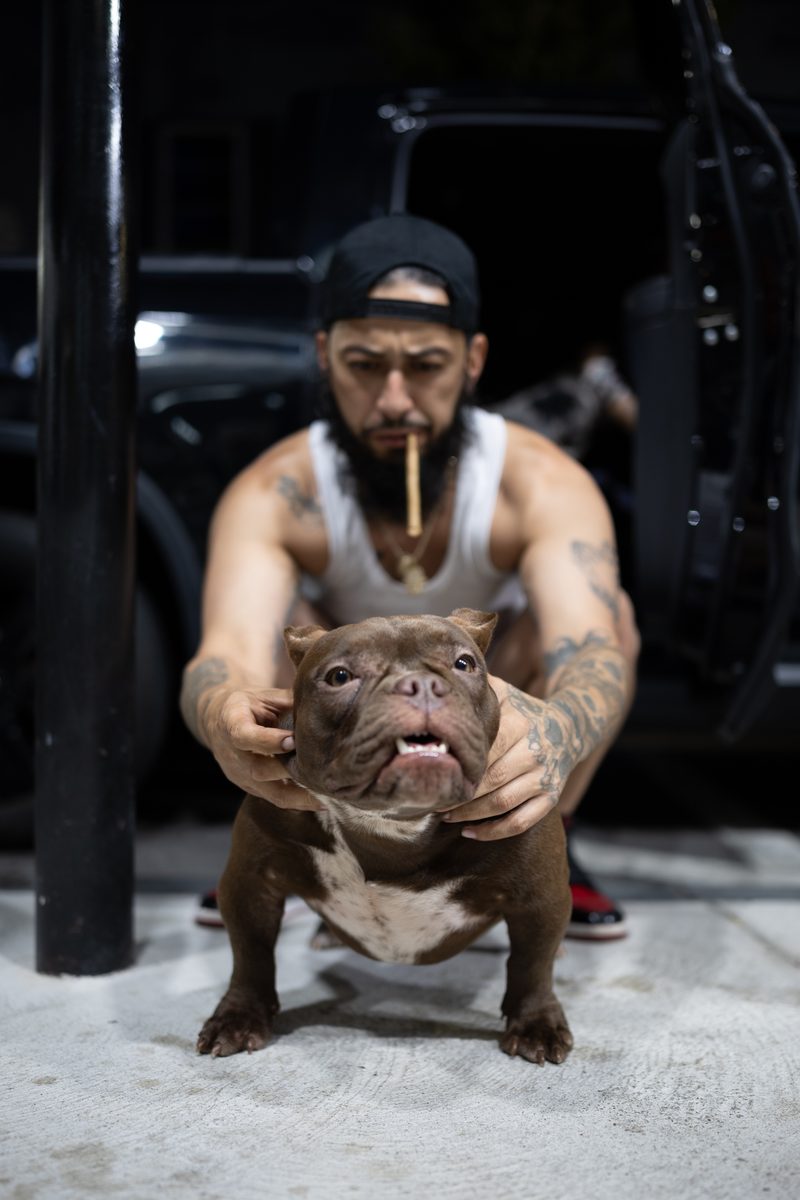 A man in a backwards cap and white tank top crouches with a cigar in his mouth beside his muscular brown dog at the back of a van.