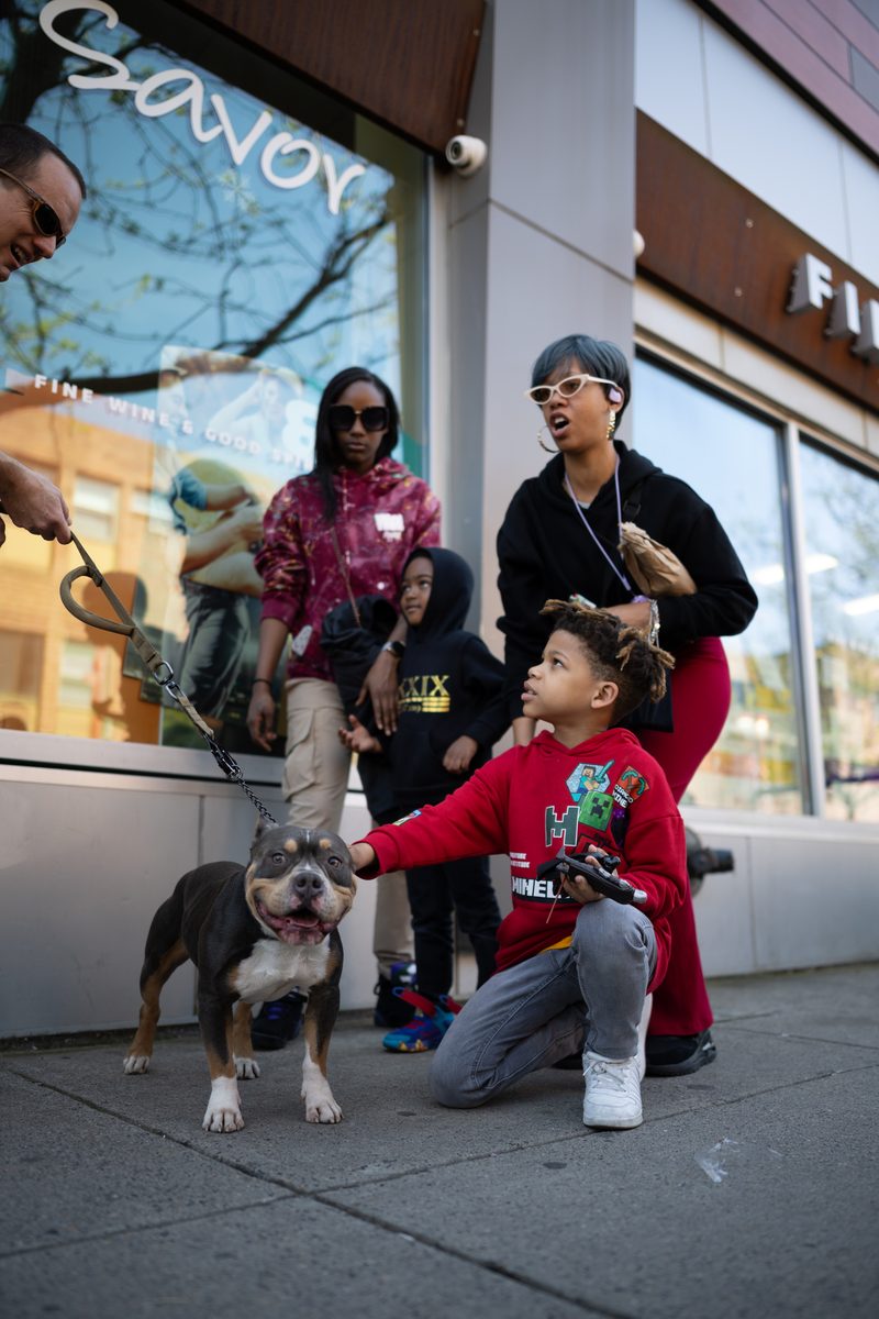 A young boy in red reaches out to pet a gray pit bull on a leash while his family watches on a South Street sidewalk.